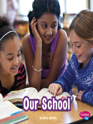 cover image of Our School